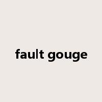 fault gouge是什么意思