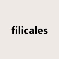 filicales是什么意思