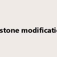 Histone modification是什么意思