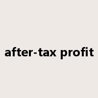 after-tax profit是什么意思