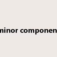 minor component是什么意思