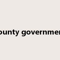 county government是什么意思