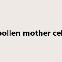 pollen mother cell是什么意思