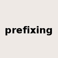prefixing是什么意思