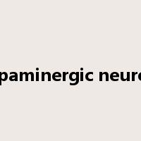 Dopaminergic neurons是什么意思