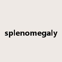 splenomegaly是什么意思