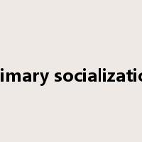 primary socialization是什么意思