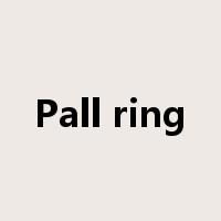 Pall ring是什么意思