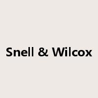 Snell & Wilcox是什么意思