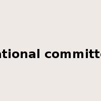 national committee是什么意思