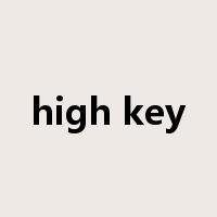 high key是什么意思