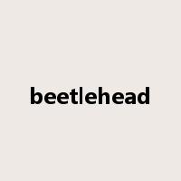 beetlehead是什么意思