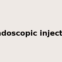 endoscopic injector是什么意思