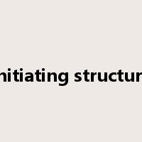 initiating structure是什么意思