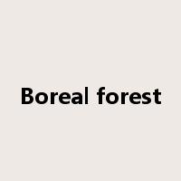 Boreal forest是什么意思