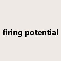 firing potential是什么意思