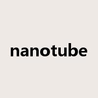 nanotube是什么意思