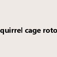 squirrel cage rotor是什么意思