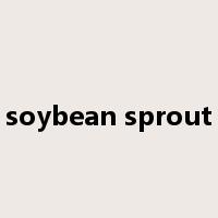 soybean sprout是什么意思