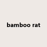 bamboo rat是什么意思