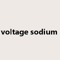 high voltage sodium lamp是什么意思