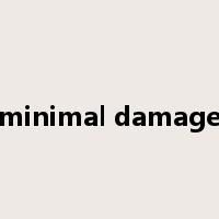 minimal damage是什么意思