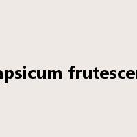 Capsicum frutescens是什么意思