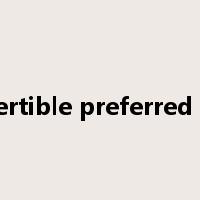 convertible preferred stock是什么意思