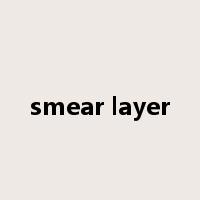 smear layer是什么意思