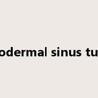 Endodermal sinus tumor是什么意思