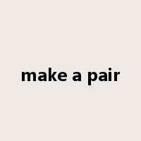 make a pair是什么意思