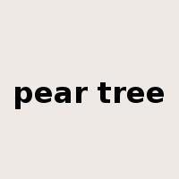 pear tree是什么意思