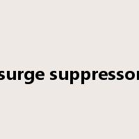 surge suppressor是什么意思