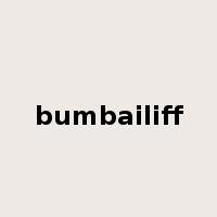 bumbailiff是什么意思