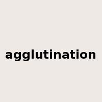 agglutination是什么意思