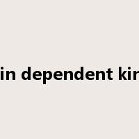 cyclin dependent kinase是什么意思