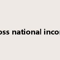 gross national income是什么意思