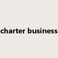 charter business是什么意思
