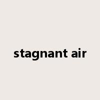 stagnant air是什么意思