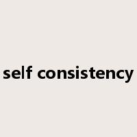 self consistency是什么意思