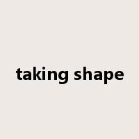 taking shape是什么意思