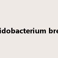 Bifidobacterium breve是什么意思