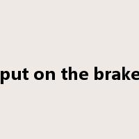 put on the brake是什么意思