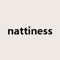 nattiness是什么意思