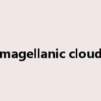 magellanic cloud是什么意思