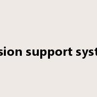 decision support systems是什么意思