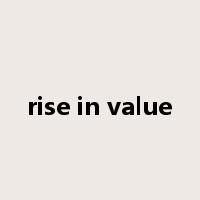 rise in value是什么意思