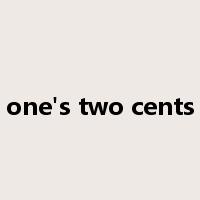 put in one's two cents worth是什么意思