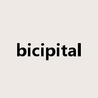 bicipital是什么意思