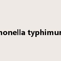 Salmonella typhimurium是什么意思